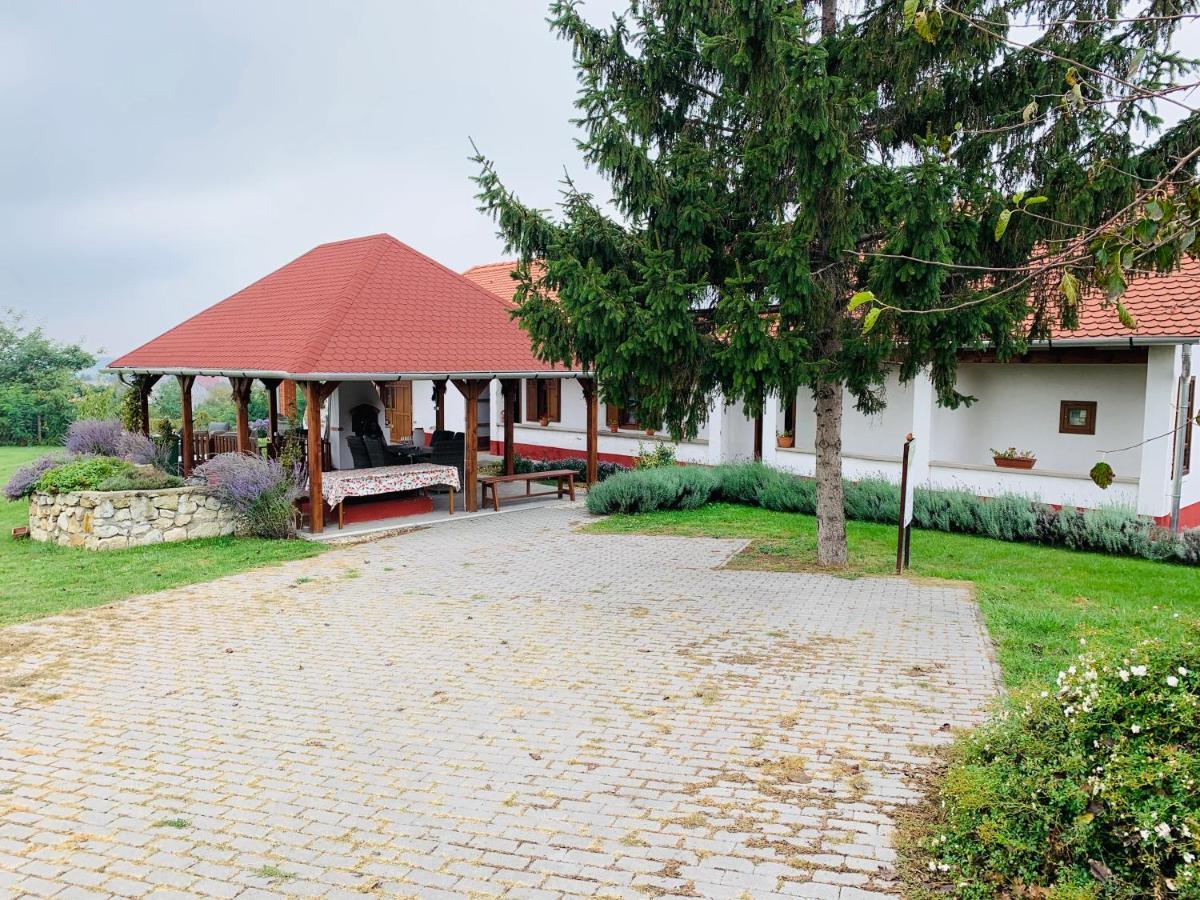Katica Vendégház Tarcal Exterior foto